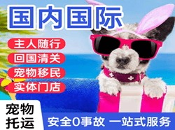 南通航空托运国际宠物托运 【国